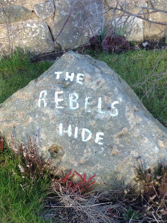 Rebels Hide -Self Check In Rooms Clifton  Екстер'єр фото